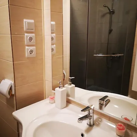 Petrovic Center * トロギール